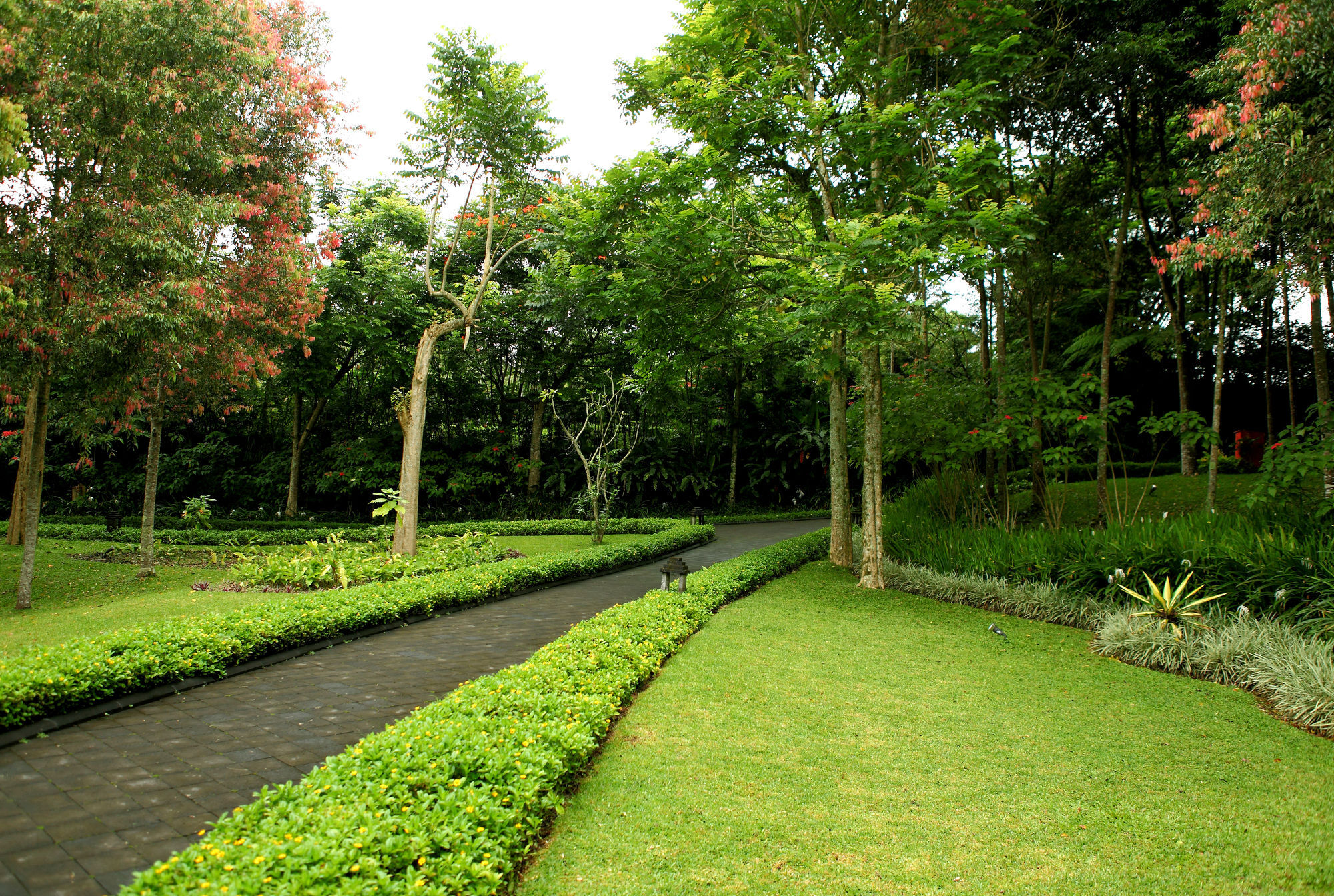 Villa Puri Candikuning Baturiti Экстерьер фото